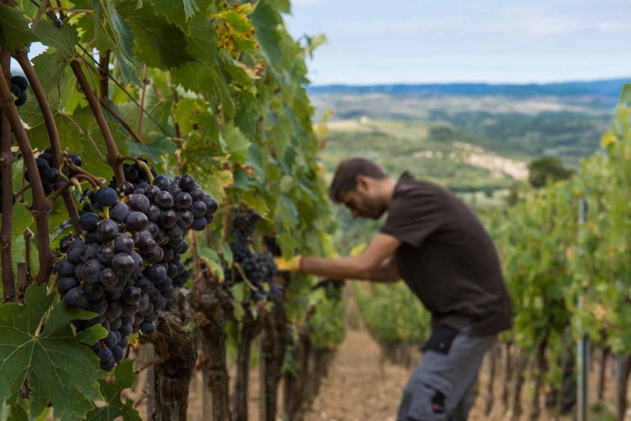 Castello Di Velona Resort, Thermal Spa & Winery Montalcino Esterno foto