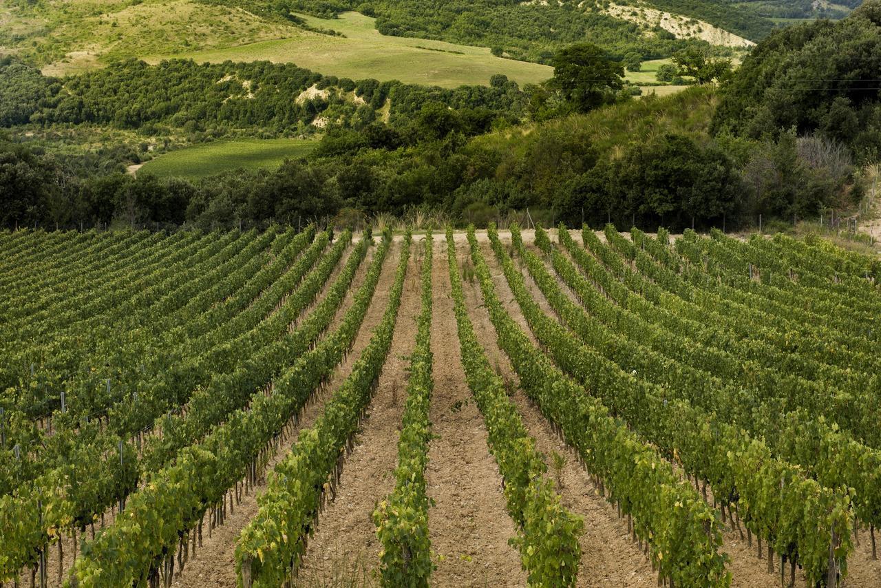 Castello Di Velona Resort, Thermal Spa & Winery Montalcino Esterno foto
